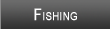 Sebago Lake Fishing